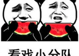吃瓜表情包代表什么意思,揭秘网络时代的社交密码